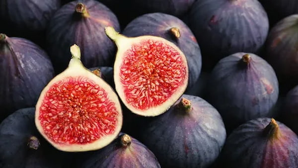 تصویر 2 از خرید و قیمت انجیر سوپر متوسط + فروش صادراتی